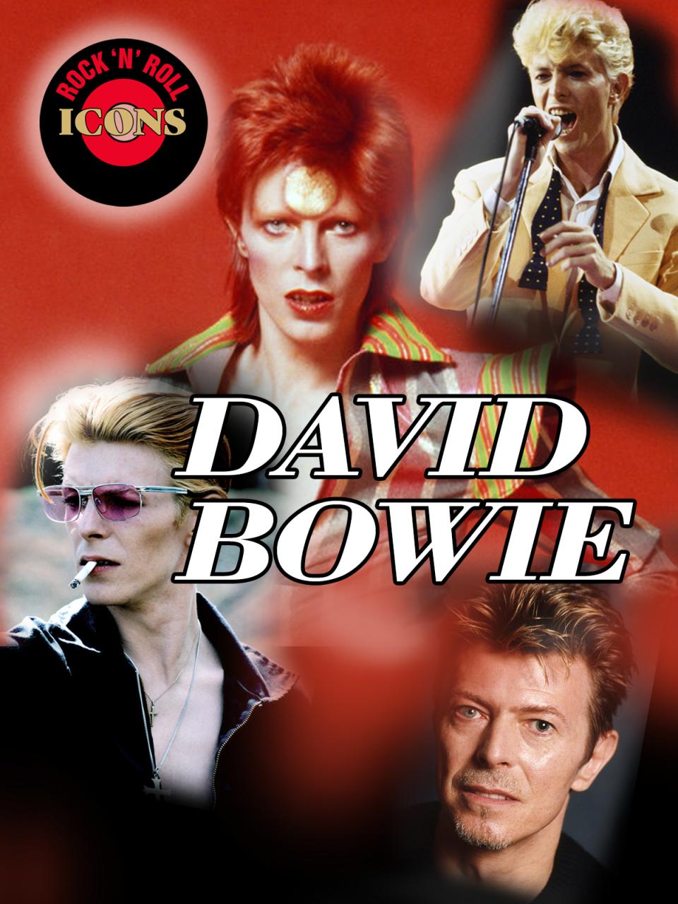 Rock 'n Roll Icons: David Bowie