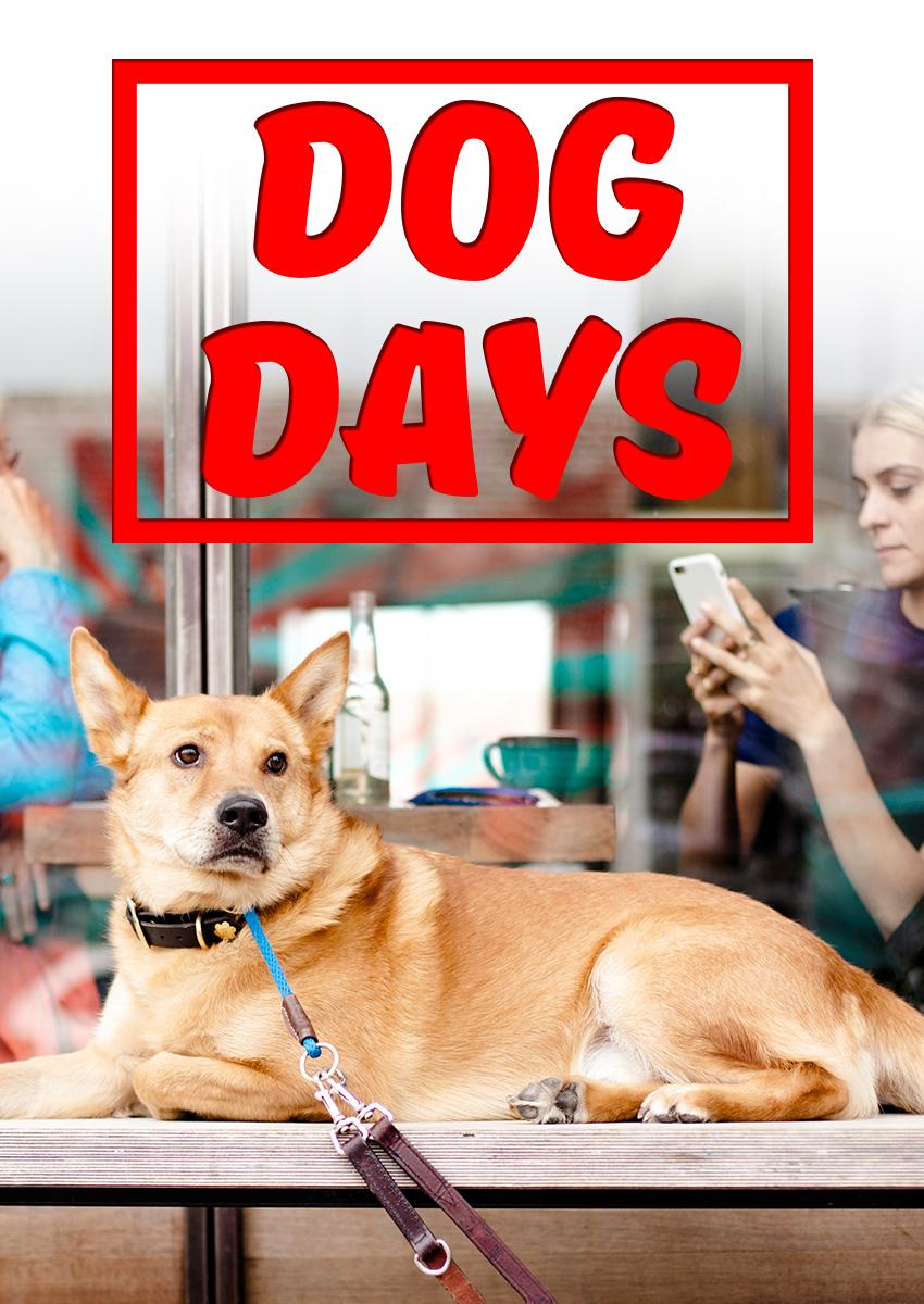 Dog Days