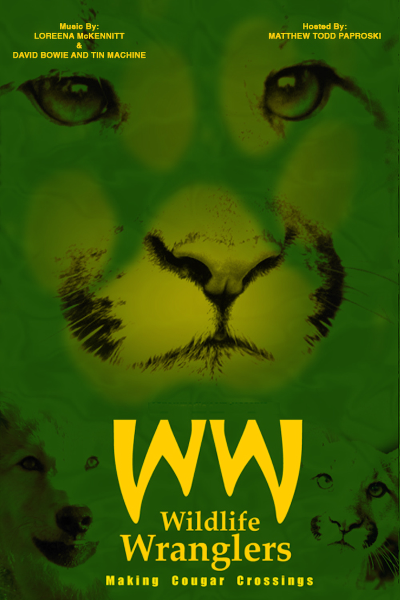 Wildlife Wranglers: Making of Cougar Crossings